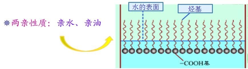 <a href='http://www.yanghongsh.com/product/product-0001,0011,0018.shtml' class='keys' title='點(diǎn)擊查看關(guān)于潤(rùn)濕劑的相關(guān)信息' target='_blank'>潤(rùn)濕劑</a>